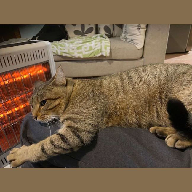 Photo of Nueve (Nui)