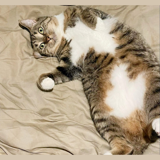 Photo of * Merriweather *