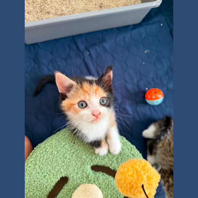 Photo of Wendy