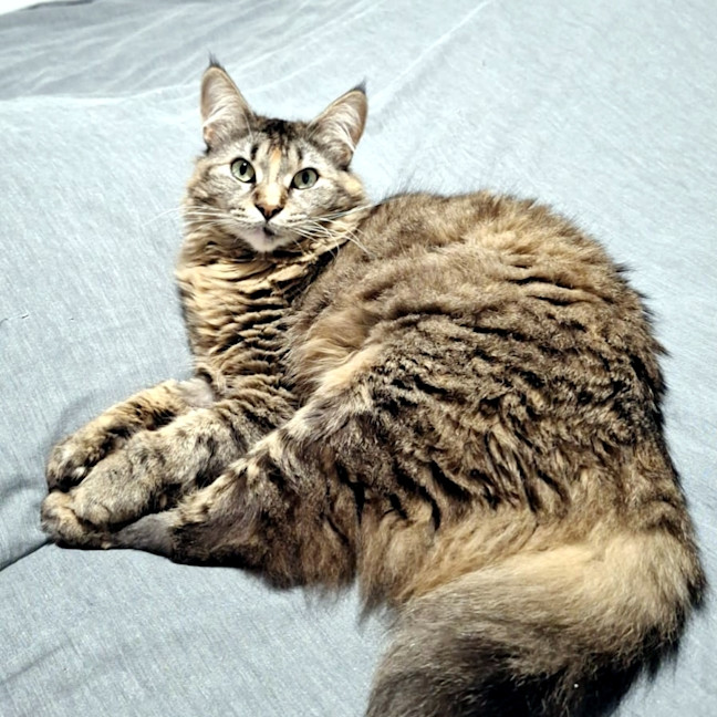 Photo of Celia Sta013621