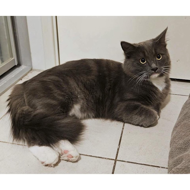 Photo of 12195   Ralph