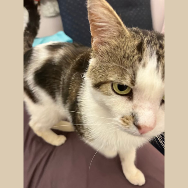 Photo of Mr Worldwide