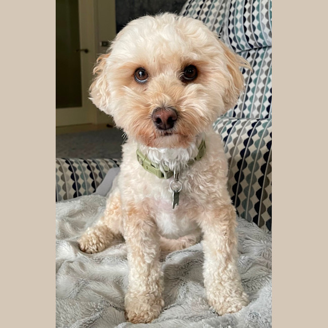 Photo of Molly