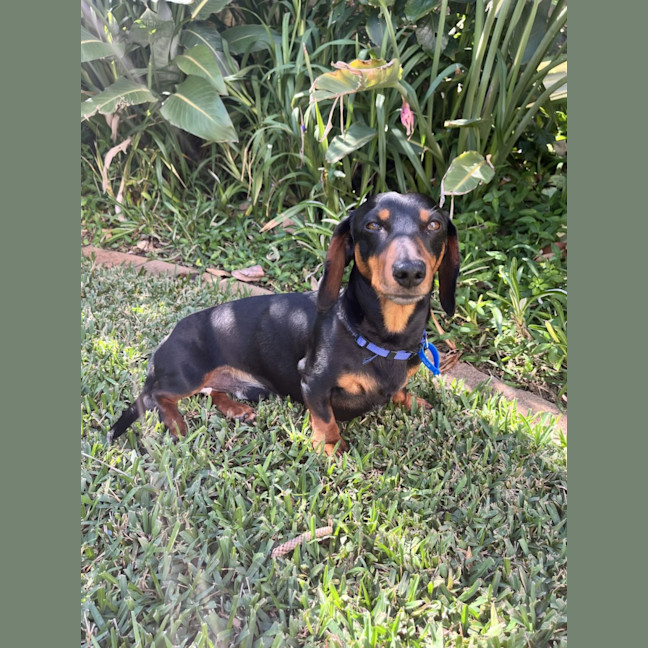 Photo of Albie