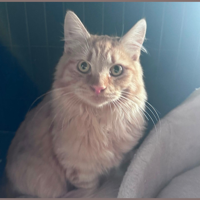 Photo of Ed