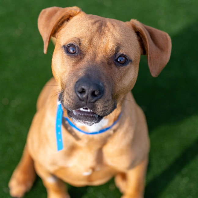 Photo of Bud Imp 1210