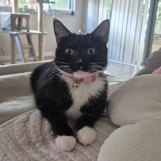 Photo of Yuki