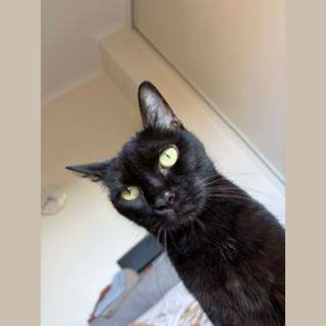 Photo of Penny