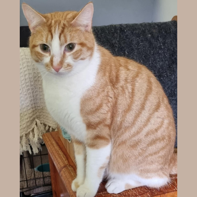 Photo of Toby And Logan 