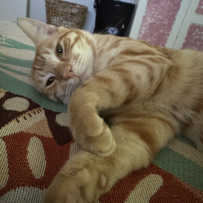 Photo of Kit Kat