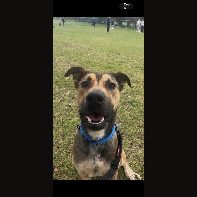Photo of Jack