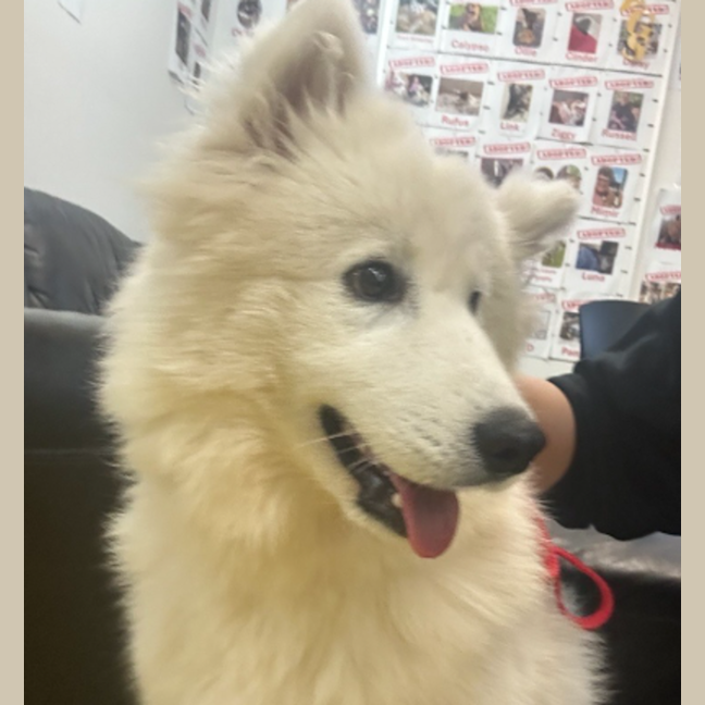 Photo of Sunny