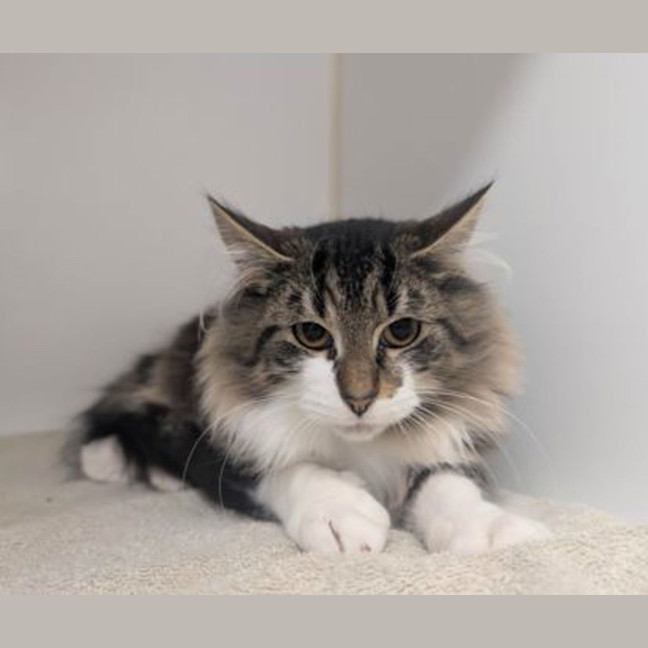Photo of Timothy