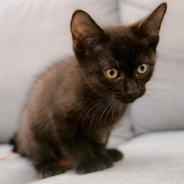 Photo of Jelly