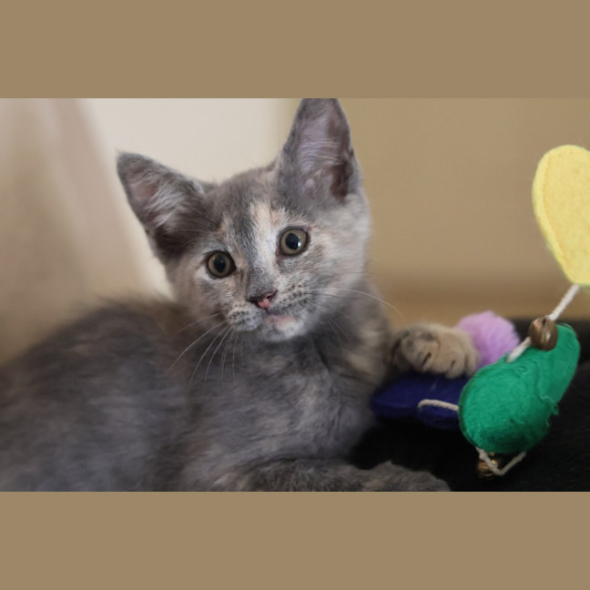 Photo of Bettina 