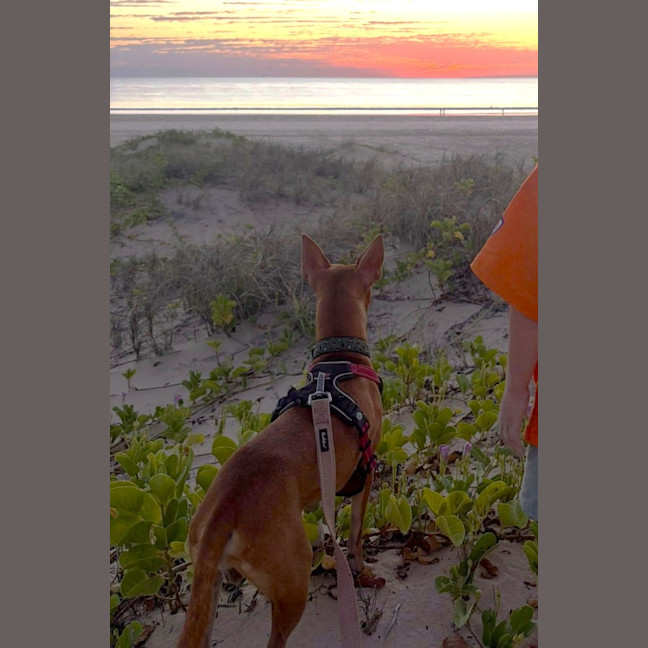 Photo of Buddy