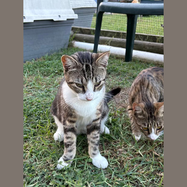 Photo of Apollo And Artemis