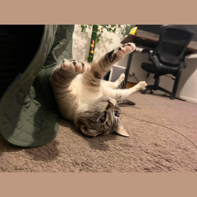 Photo of Gus