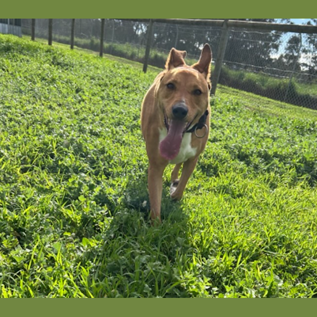Photo of Duke