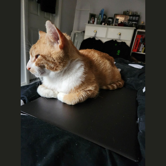 Photo of Julio