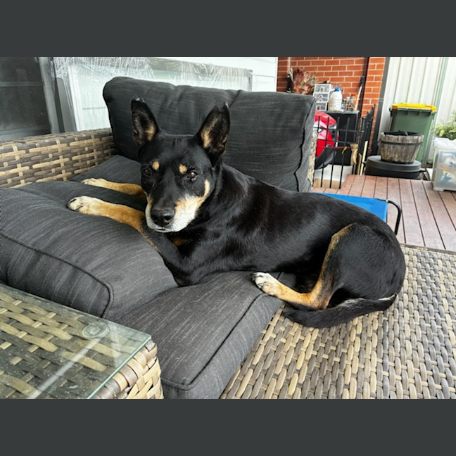 Photo of Bud