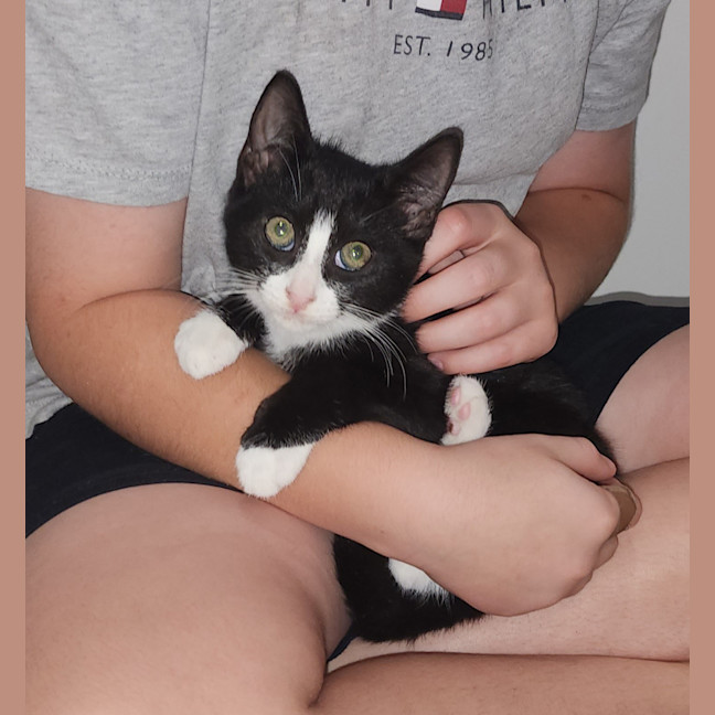 Photo of Humphrey