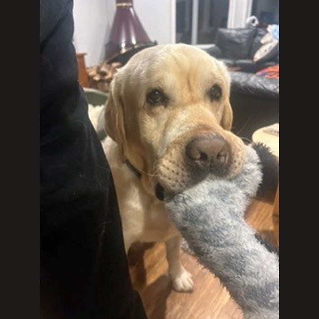 Photo of Bob