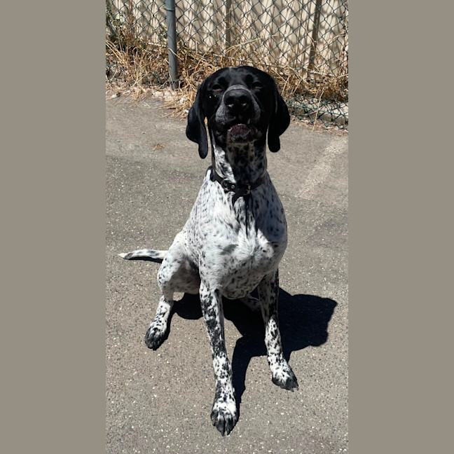Photo of Bentley 