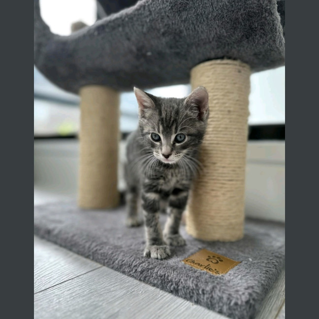 Photo of Murphy