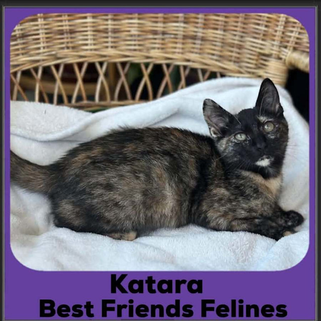 Photo of Katara 