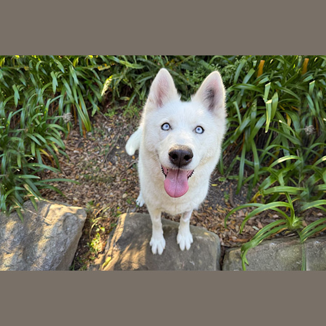 Photo of Heidi