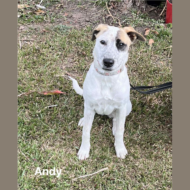 Photo of Andy