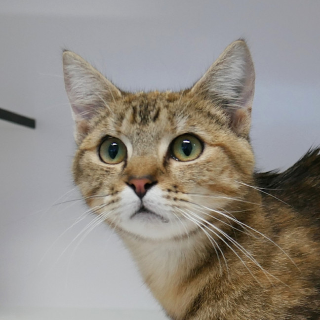 Photo of Shelby Sua013311