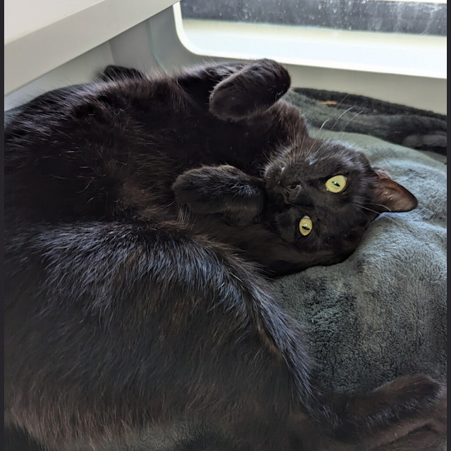 Photo of Hermes