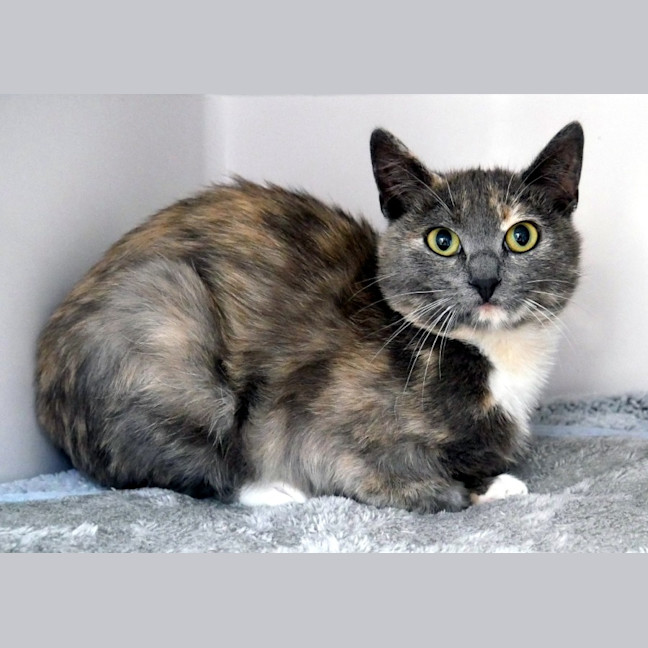 Photo of Phoebe Rsta013085