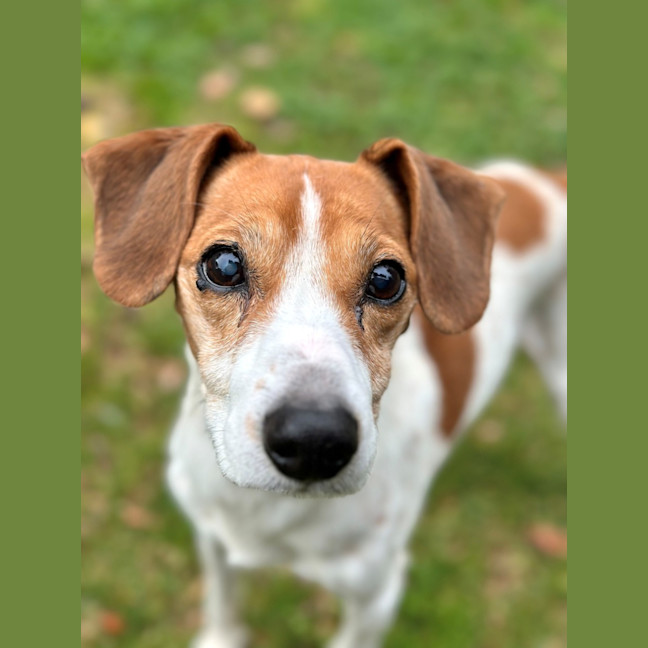 Photo of Mako & Buddy 