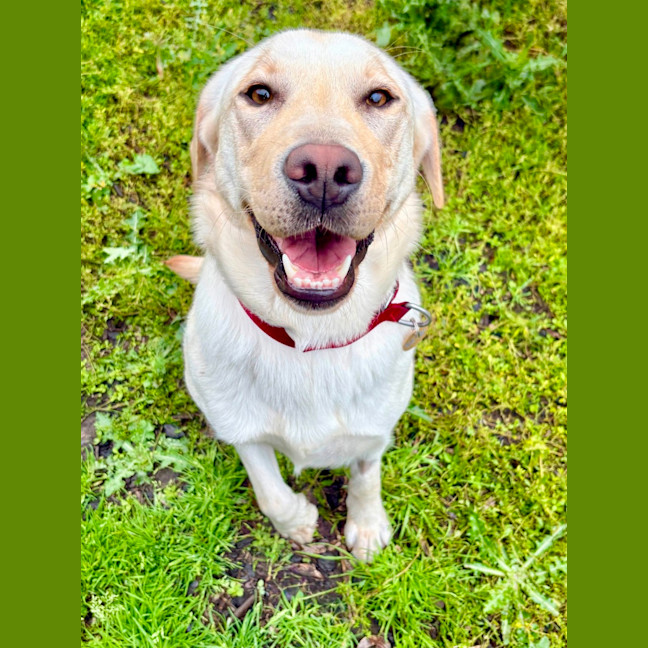 Photo of Penny