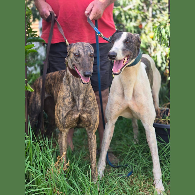 Photo of Deal Breaker