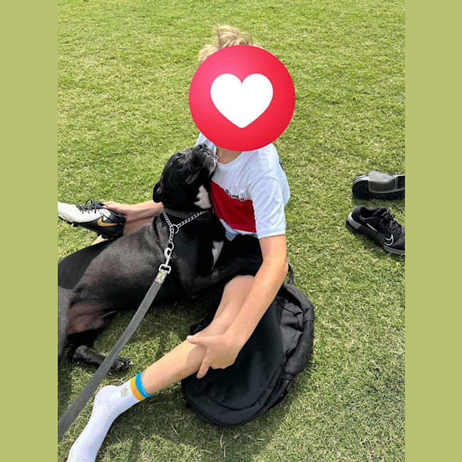 Photo of Boof