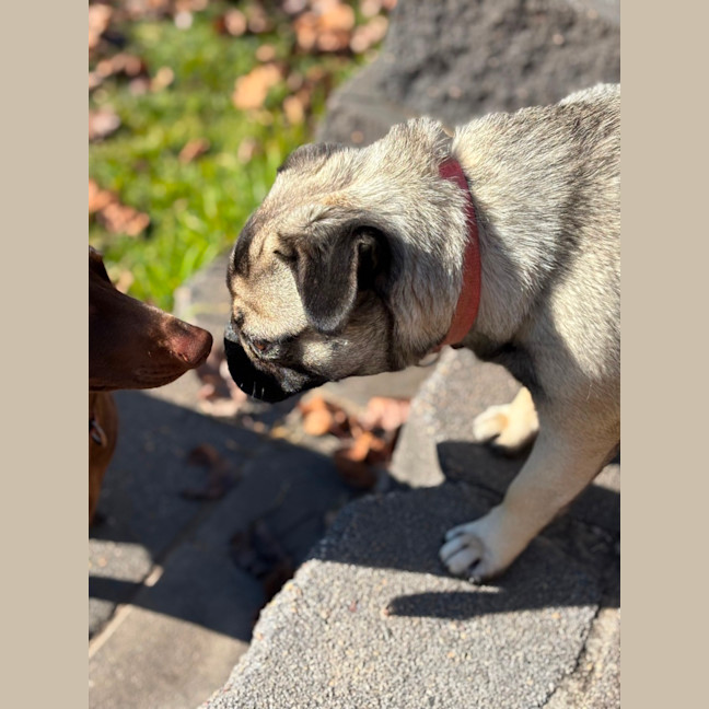 Photo of Betty