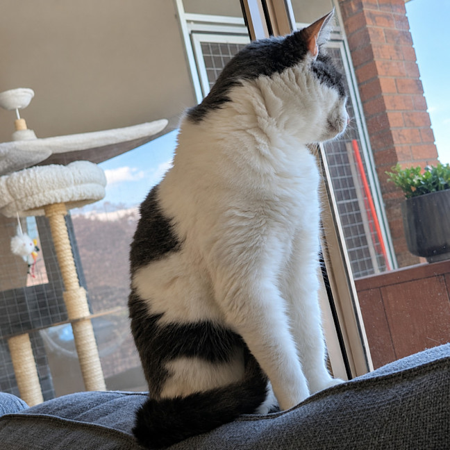 Photo of Macey