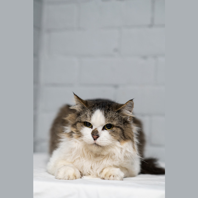 Photo of Bob