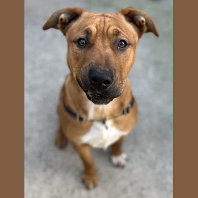 Photo of Bane
