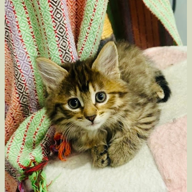 Photo of Cinnamon & Nutmeg