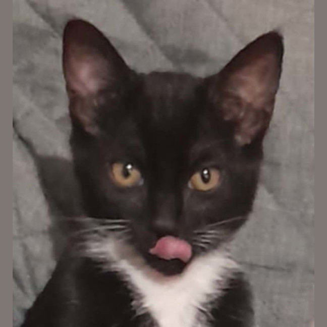 Photo of Mimi