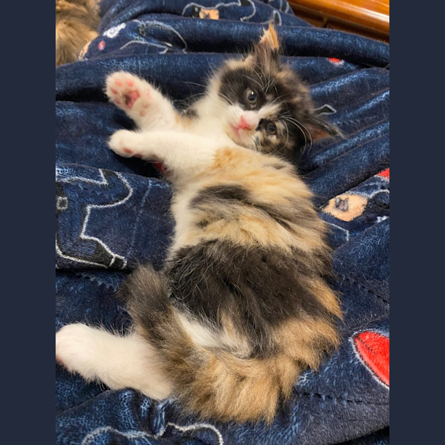 Photo of Hadley Parker