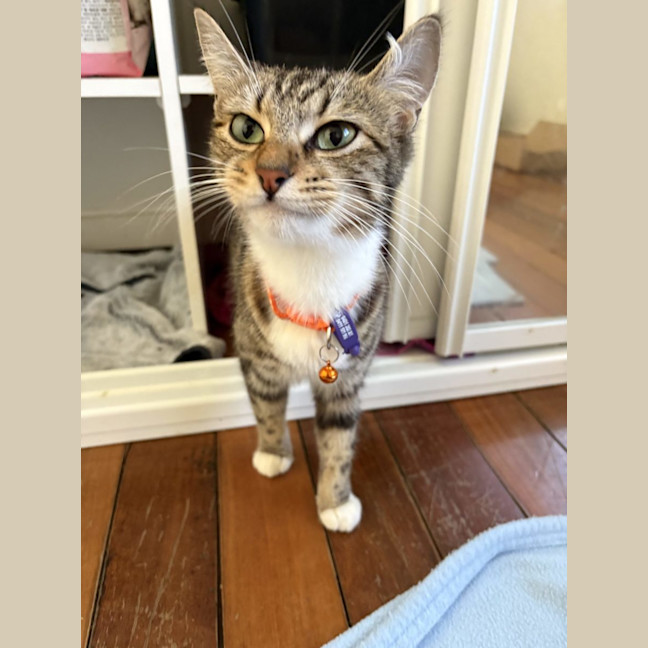 Photo of Bonny