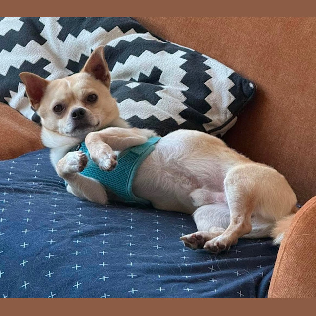 Photo of Gordon