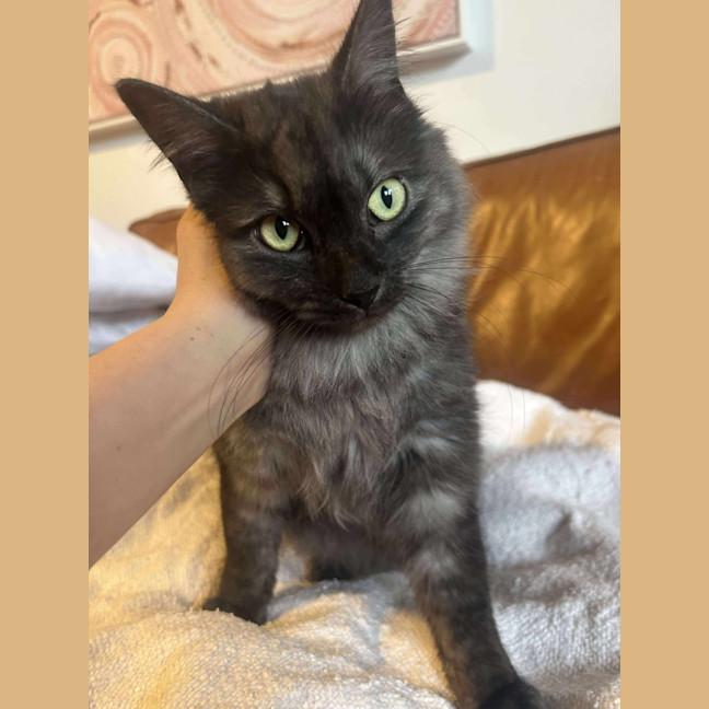 Photo of Amelia 🩷