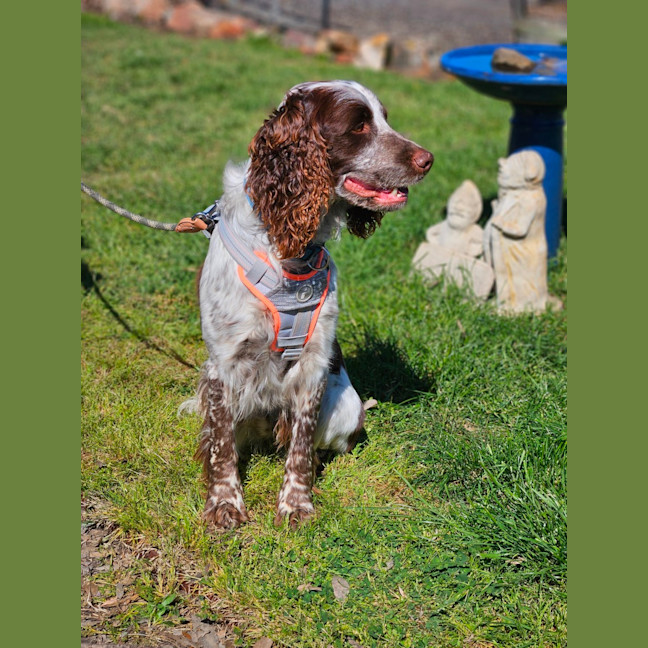 Photo of Max